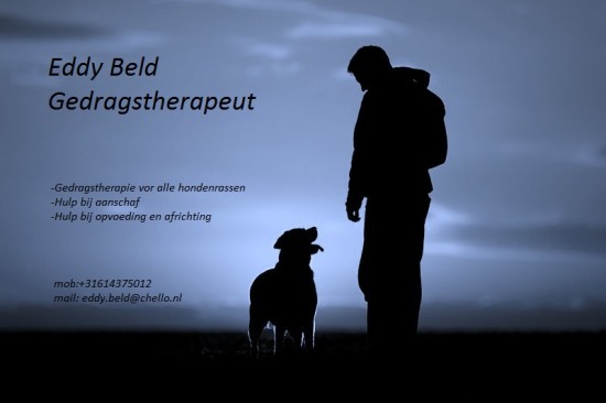Probleemgedrag van uw hond oplossen? Hulp nodig bij aanschaf, opvoeding of africhting?