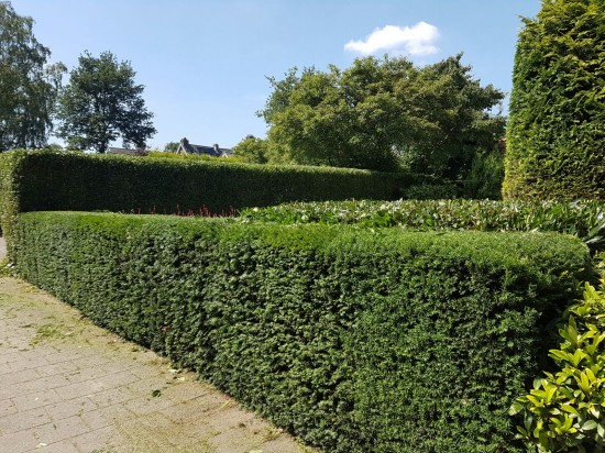Uitstekende kwaliteit tegen de voordeligste prijs