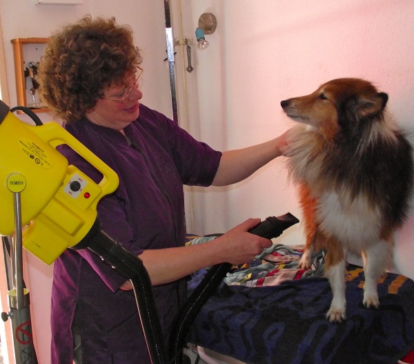 Trimster voor hond, kat en konijn