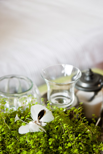 Interieurstyliste