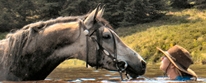 PAARDRIJVAKANTIES in de bergen! Pradis Z-Frankrijk