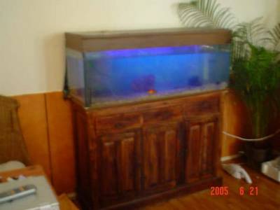 Mooi groot aquarium met meubel