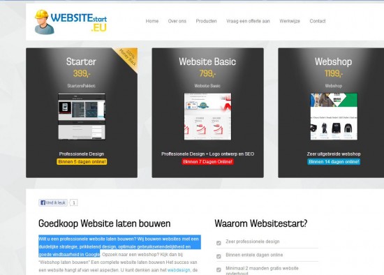 Webdesigner €299,- Website + Webhost 1 jaar lang!
