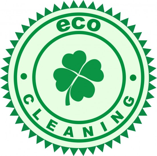 Eco schoonmaak Groningen vanaf 5 euro!