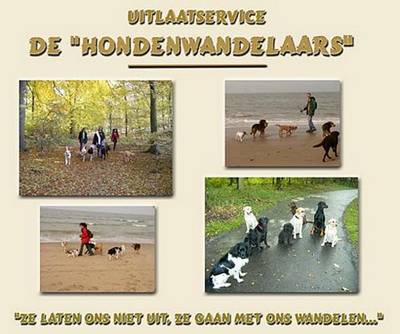 Hondenwandelservice