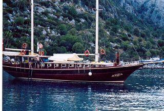 Blue cruises