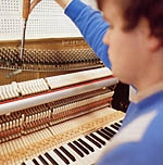 Pianostemmer regio Alkmaar, Den Helder, Haarlem, Hoorn, Amsterdam