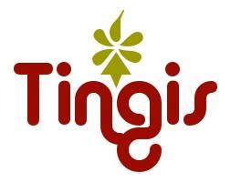 Tingis, particulier en zakelijk ICT diensten.