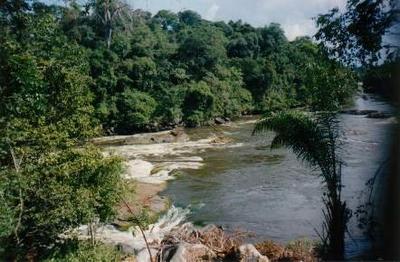 Gateway to Suriname.