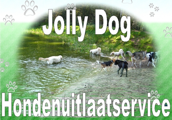 Jolly Dog, Hondenuitlaatservice Utrecht
