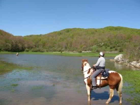Avontuurlijke paardrijtrektochten in schitterende natuur