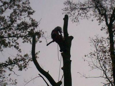 Boomverzorging en groenvoorziening