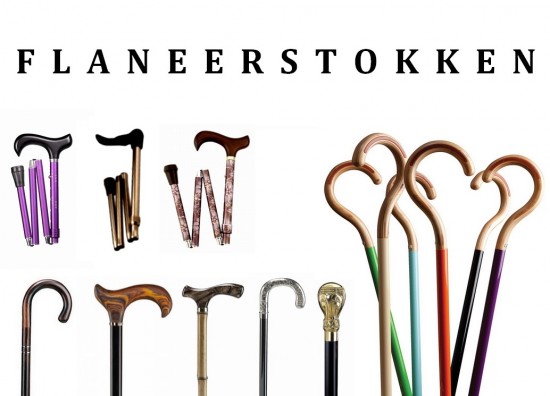 Wandelstokken - sierstokken - steunstokken. Zeer mooi assortiment!