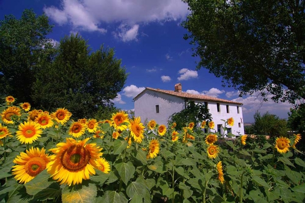 Le Marche, b&b en vakantiehuisje Casa dei Colli