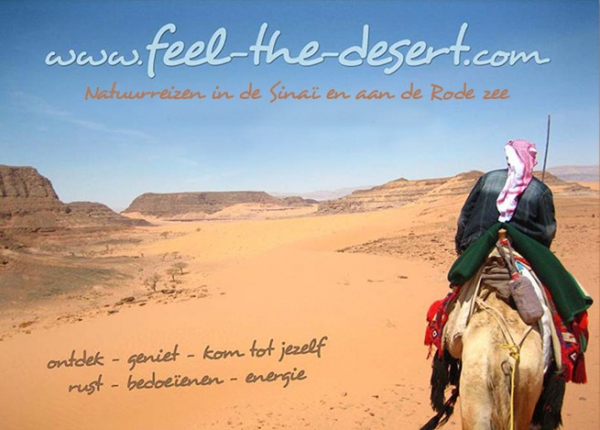 Een zonnige week aan de Rode zee voor 250 euro p.p.!