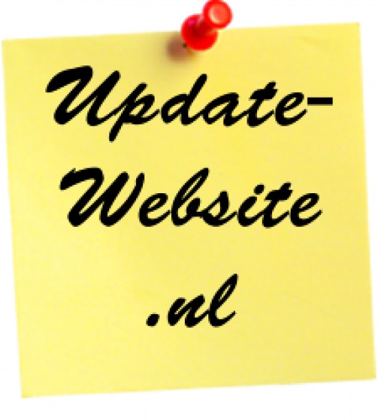 Professioneel en moderne website voor 250 euro!