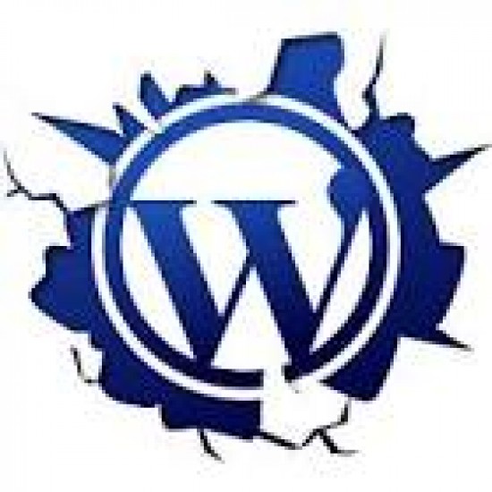 2014 goed beginnen? De hele maand januari 20% korting op uw eigen veilige cms website of winkel!
