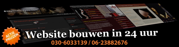 Webdesigner nieuwegein