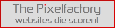 Wij ontwikkelen websites die scoren!