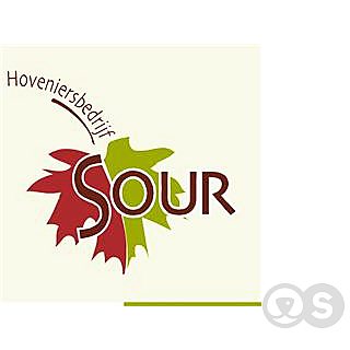 Hoveniersbedrijf Sour, voor al uw tuinwerkzaamheden