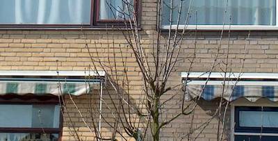 GevelReiniging in Zoetermeer & Omgeving