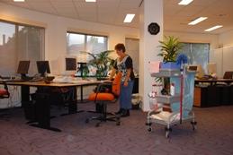 ART OF CLEANING schoonmaak service