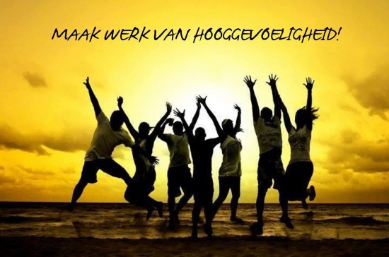 Leergang HSP begeleider 23 januari 2016