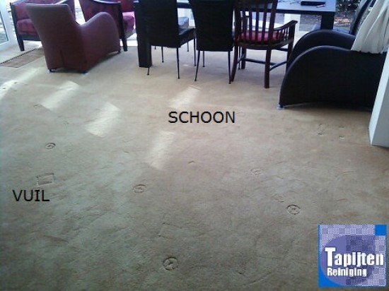 Vloerkleed, tapijt of bank reinigen, lage tarieven, no-nonsense, eerlijk advies — foto 2